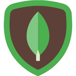 mongoDB icon